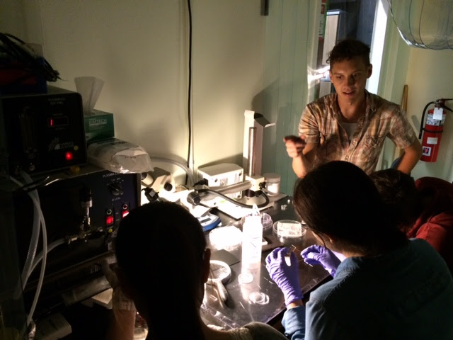 Making microfluidic devices. 
